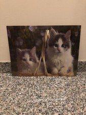 Quadro pannello  3D Gattini