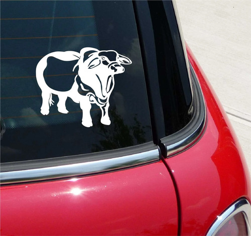 Adesivo grafico braham bull - grafico,