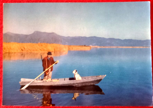 Torre lago puccini cecco - lago,