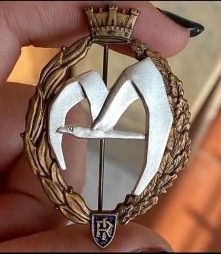 Distintivo aeronautica - distintivo,