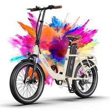 Bicicletta Elettrica