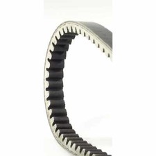 CINGHIA PIAGGIO E DIMENSIONI