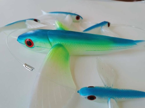 Pezzi pesce volante - 5,