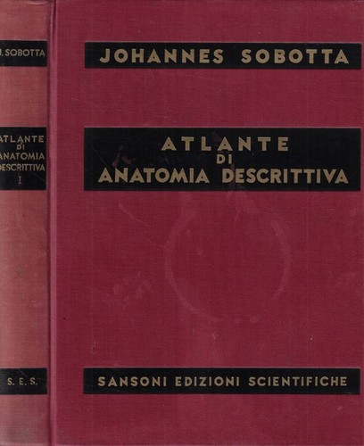 Atlante anatomia - di,