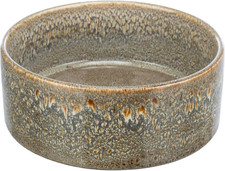 Ciotola per Cani in Ceramica