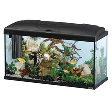 ACQUARIO COMPLETO | Capri 80