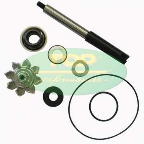 Aa00836 kit revisione pompa - aa00836,