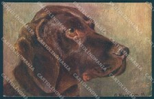 Animali Hanstein cane Setter irlandese serie 285 PIEGA ANGOLARE cartolina TW1359