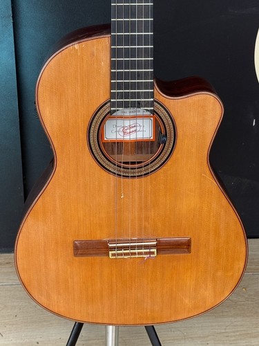 Chitarra elettrica jose - chitarra,