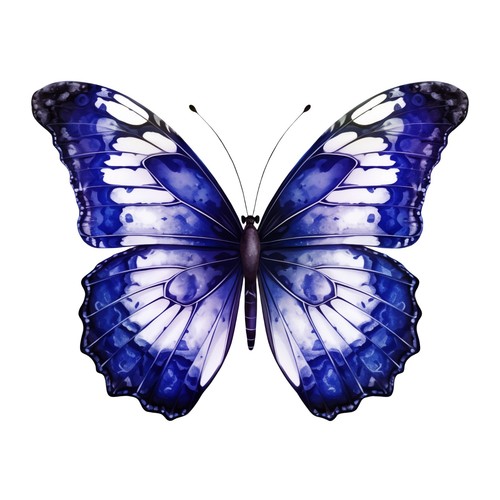 Adesivi farfalla - 7,
