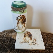 🐘 Barattolo, vaso, vaso e