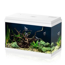 Simply 60 Acquario Completo Con Illuminazione Led, Filtro E Riscaldatore, Bianco