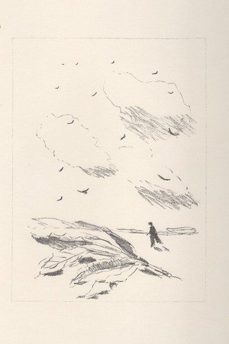 Filippo pisis l - l'alloro,