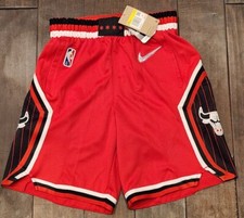 Nike Chicago Bulls City