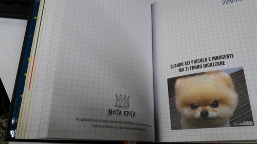 Diario scuola zoo datato - diario,