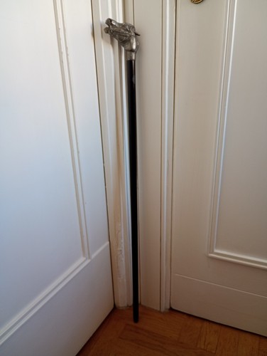 Elegante raro bastone - raro,
