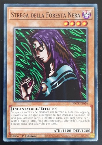 Strega della foresta - strega, in