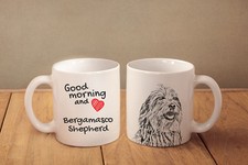 Cane pastore bergamasco - cane,