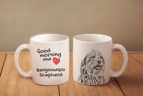 Cane pastore bergamasco - cane,