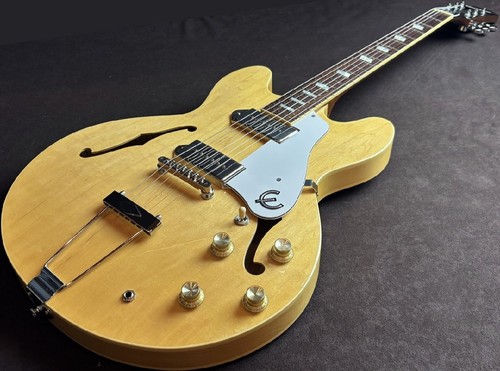 Chitarra elettrica acustica