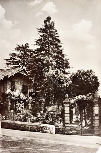 Cartolina loveno di menaggio - cartolina,