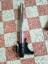 Pied de Fourche R6 2006 dorée