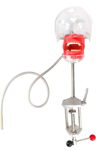 Simulatore dentale nissin - simulatore,