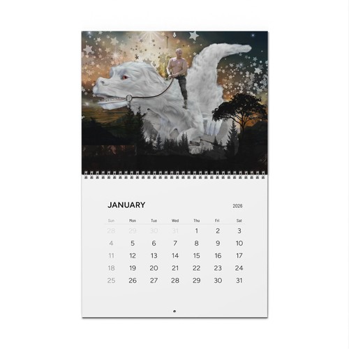 Funny christmas wall calendar - christmas,