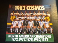 Quadro NASL 1983 New York