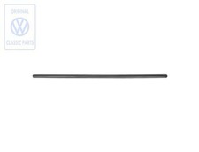 Striscia protezione porta Vag