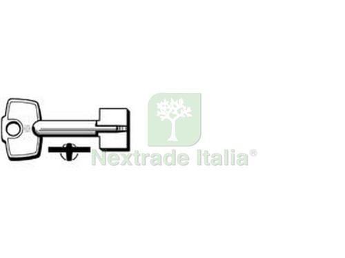 5pz chiavi pompa cerutti - 5pz,