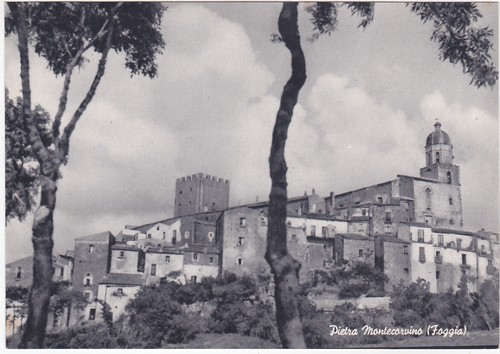 Pietra montecorvino foggia - pietra,