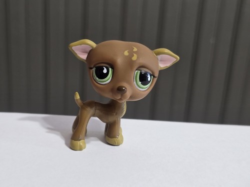 Littlest pet - littlest,