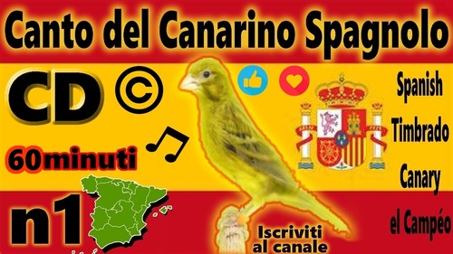 timbrado spagnolo