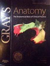 Gray's Anatomy The Anatomical