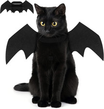 Halloween costume - costume,