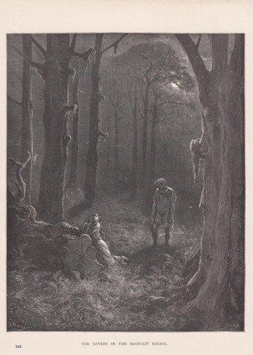 Stampa gustave dore 1870 - stampa,