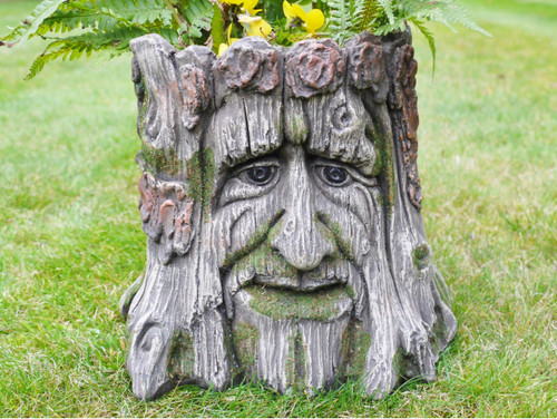 Albero arbusto cespuglio - albero,