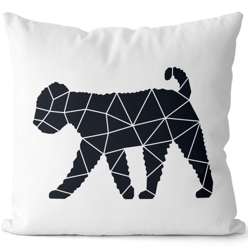 Lagotto romagnolo stile - lagotto, romagnolo,