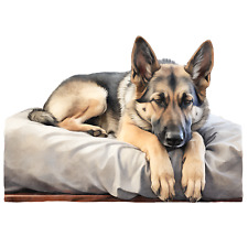 2 adesivi auto cane pastore