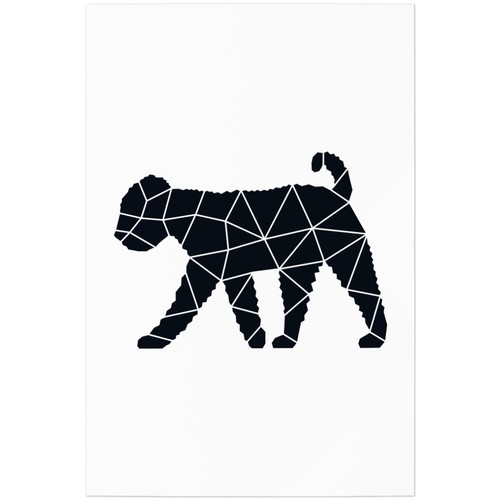 Lagotto romagnolo stile - romagnolo,,