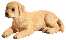 Mojo 387272 Labrador Cucciolo