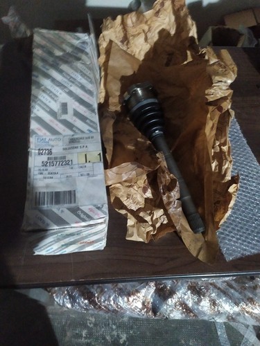 235-46307698-SEMIALBERO-SEMIAS