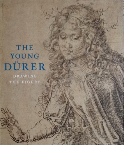 The young durer drawing - young,