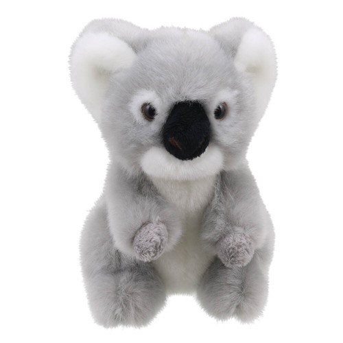 Peluche koala wilberry - wilberry, 14cm