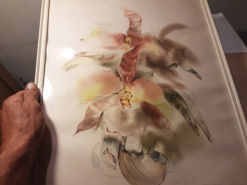 Bellissimo acquerello firmato - bellissimo,