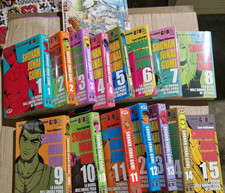 Toru Fujisawa Shonan Junai