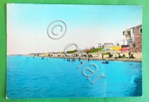 Cartolina cosenza amendolara - cartolina,