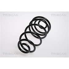 Molla Triscan Posteriore per OPEL ASTRA