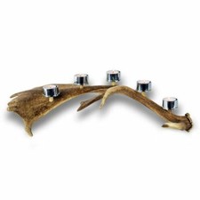 Candeliere con vero corno di